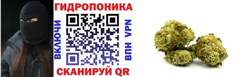 Канабис Мурино