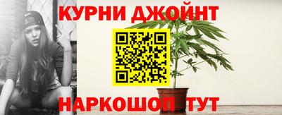 Альфа ПВП Кингисепп