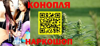 Альфа ПВП Кингисепп
