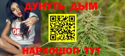 Альфа ПВП Кингисепп