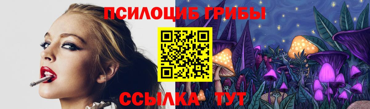 Мурино  Псилоцибиновые грибы Psilocybe  Вход с VPN 